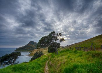 Nuova Zelanda: lancia il primo piano per prevenire i danni del clima