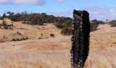 SpaceX Crew Dragon, un contadino australiano ha trovato dei pezzi di una navicella nella sua fattoria
