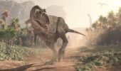 T-rex: secondo un nuovo studio resta una sola specie