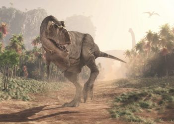 T-rex: secondo un nuovo studio resta una sola specie