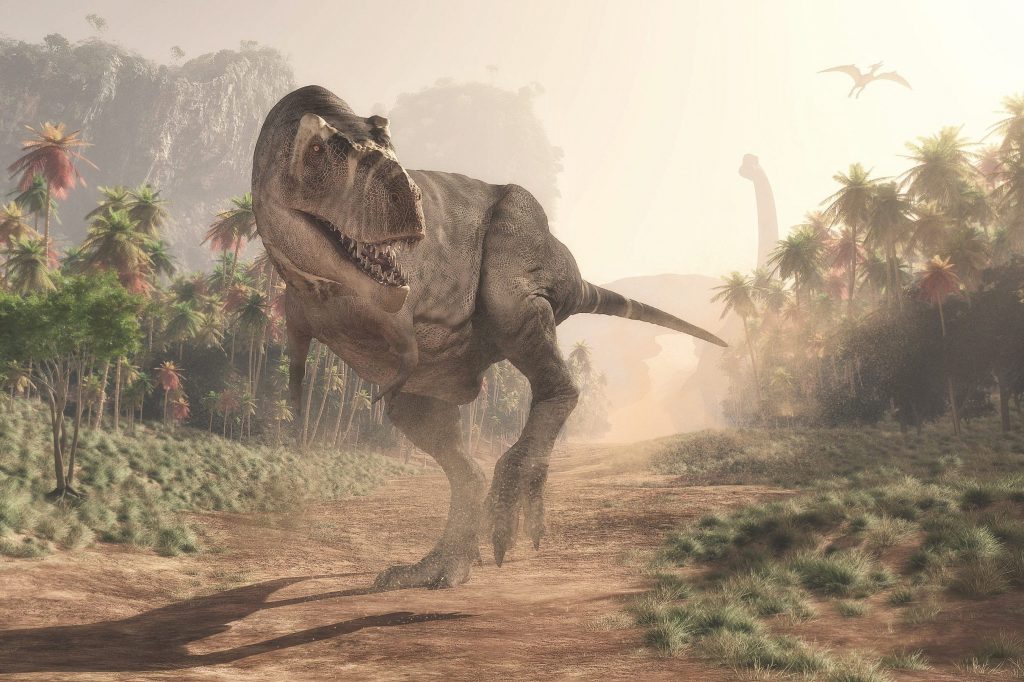 T-rex: secondo un nuovo studio resta una sola specie