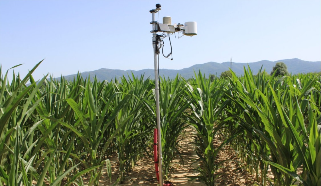 agricoltura intelligente