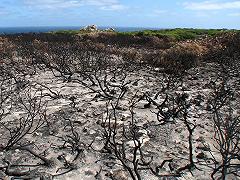 Cambiamento climatico: in Australia nuova legge per combatterne gli effetti