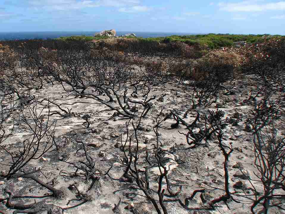 cambiamento climatico Australia