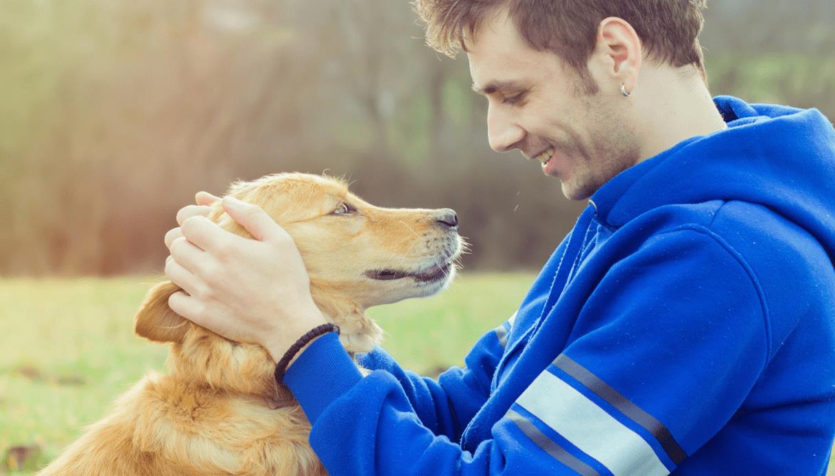 Cani: piangono di gioia nel rivedere i padroni