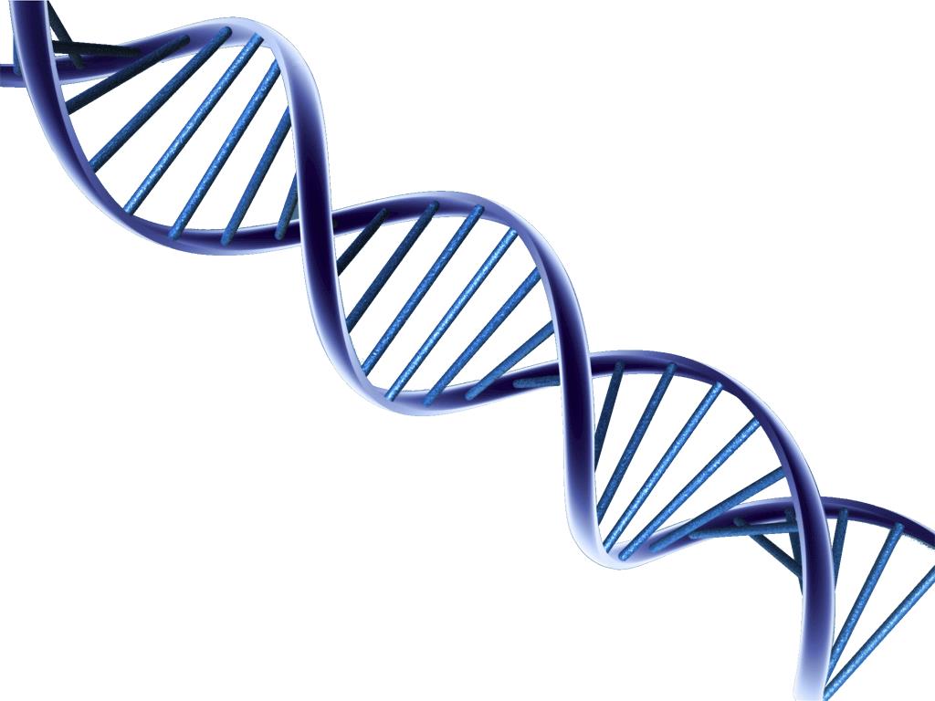 Superconduttori: la fabbricazione utilizza il Dna