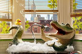 Il Talento di Mr. Crocodile: i primi dieci minuti del film