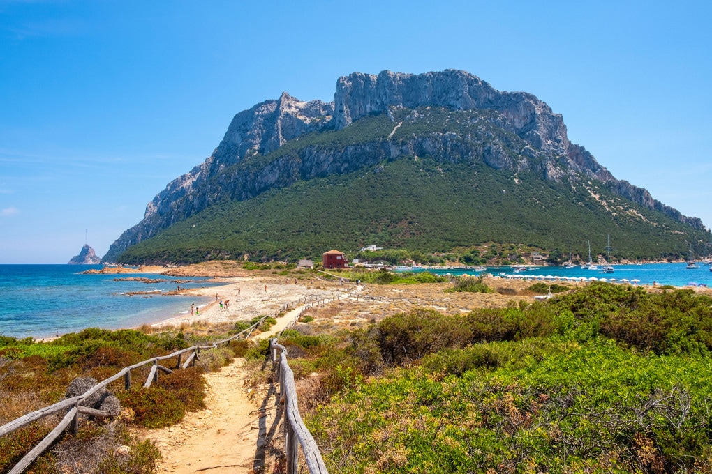 Aree marine protette: interventi e iniziative