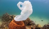 Rifiuti di plastica: come tracciarli negli oceani