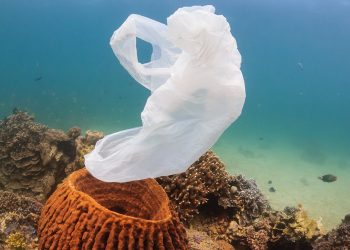 Rifiuti di plastica: come tracciarli negli oceani
