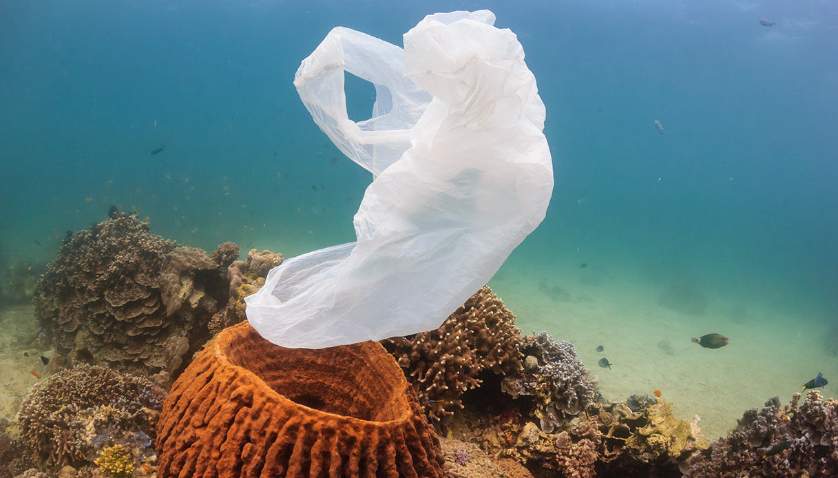 Plastica: le discariche negli abissi del Mediterraneo