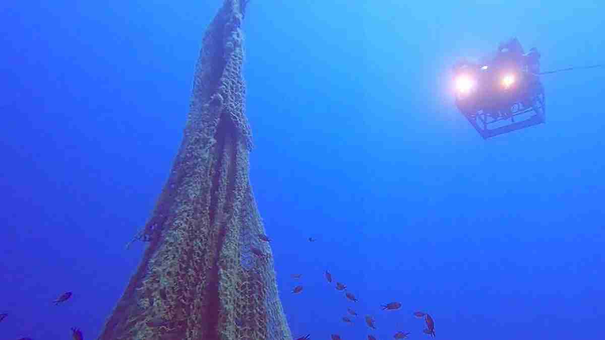 monitoraggio reti Asinara