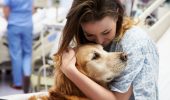 ospedale cani e padroni malati
