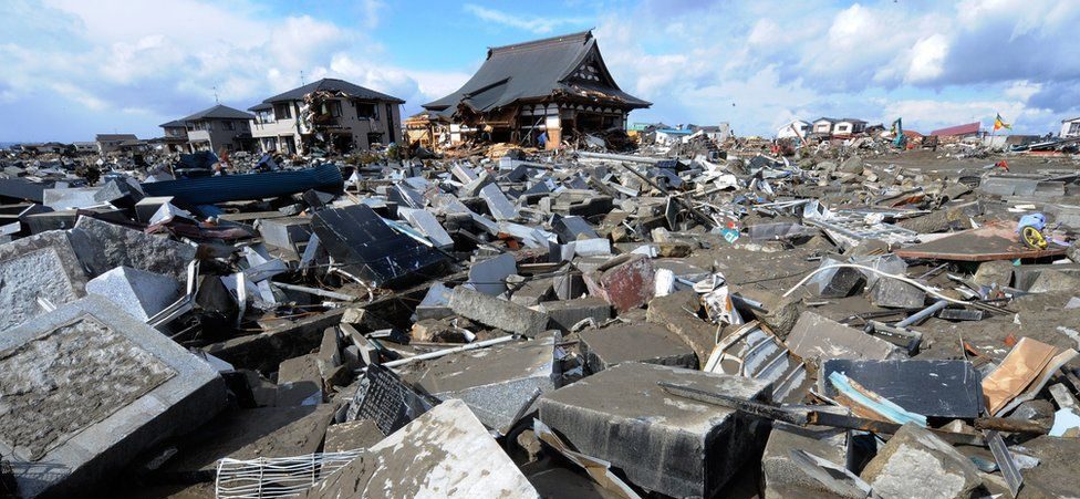 Gli scarafaggi salveranno vite durante il terremoto, com’è possibile?