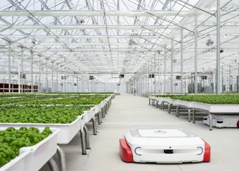 Robot progettati per l'agricoltura sostenibile