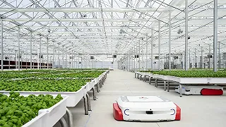 Robot progettati per l’agricoltura sostenibile