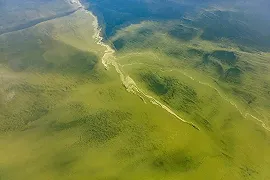 Fioriture delle alghe: negli ultimi 30 anni la loro intensità è aumentata