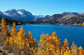 Foliage: spettacolo della natura in California