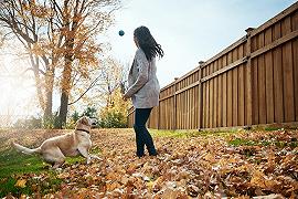 Cani: ecco perché adorano riportare la pallina