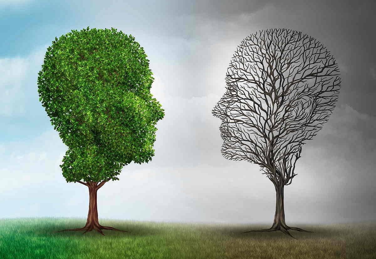 Cervello: cambia con le stagioni