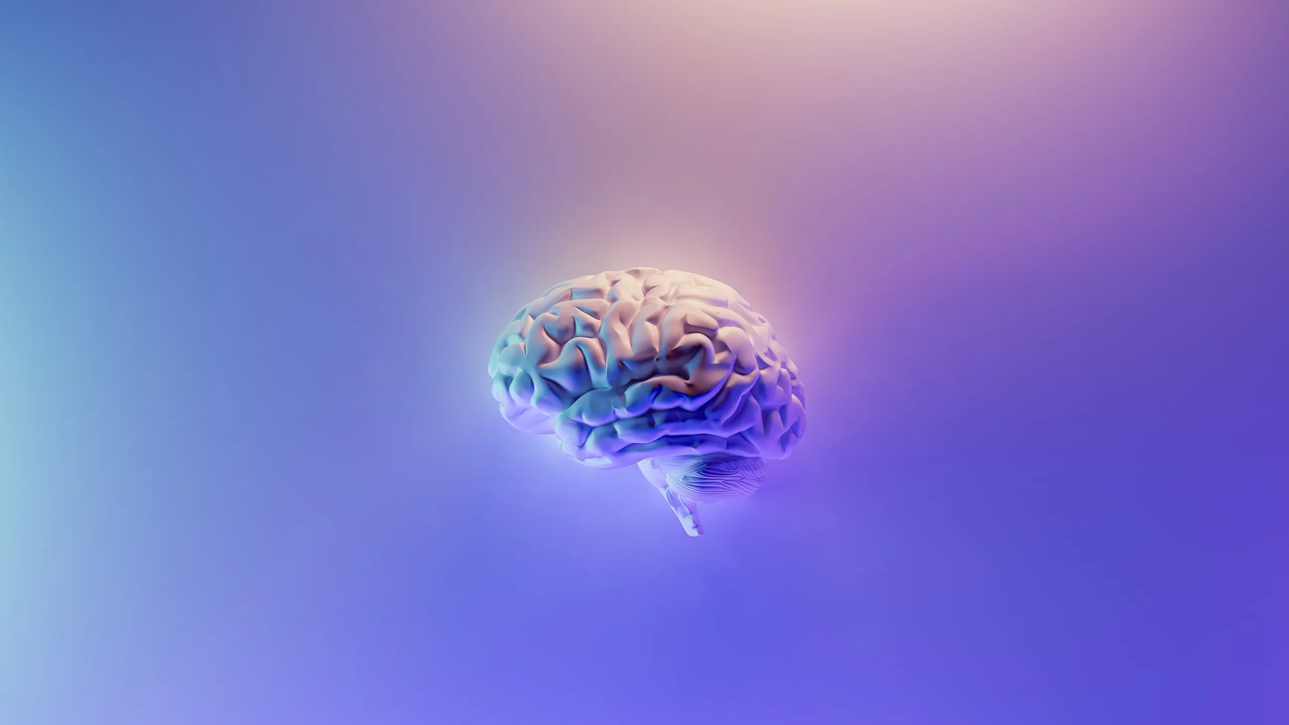 Cervello ad alta definizione con un nuovo microscopio olografico!