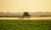 Glyphosate: No to greener farming