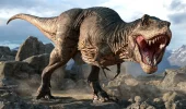 T-rex: gli occhi allungati potrebbero averlo aiutato a mangiare le prede