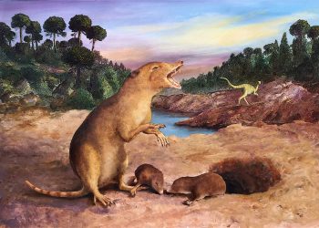 Brasilodon quadrangularis: il mammifero più antico