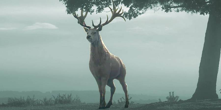 House of the Dragon, recensione dell'episodio 3: Second of His Name
