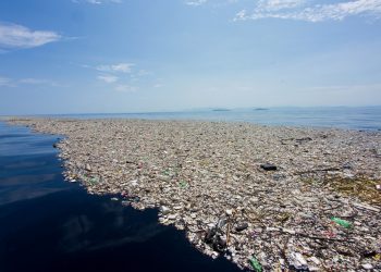 The Great Pacific Garbage Patch: da dove vengono i rifiuti?
