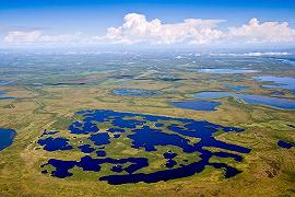 Laghi artici: perché si stanno prosciugando?