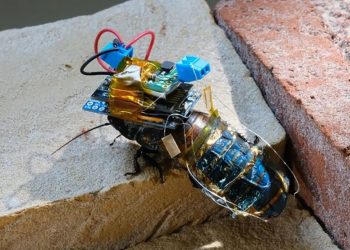 Robot a energia solare per ispezionare l'ambiente