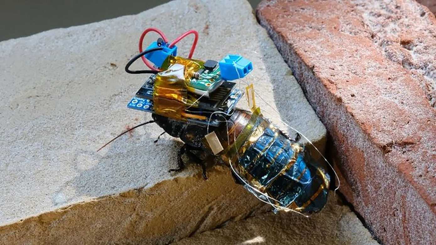 Robot a energia solare per ispezionare l’ambiente
