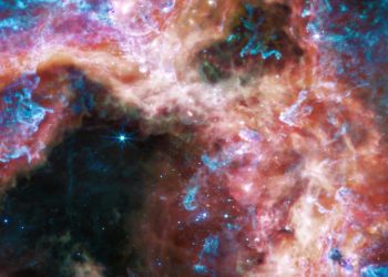 Telescopio Webb: immagini straordinarie della Nebulosa Tarantola