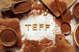 Teff: sequenziato il Dna del cereale senza glutine