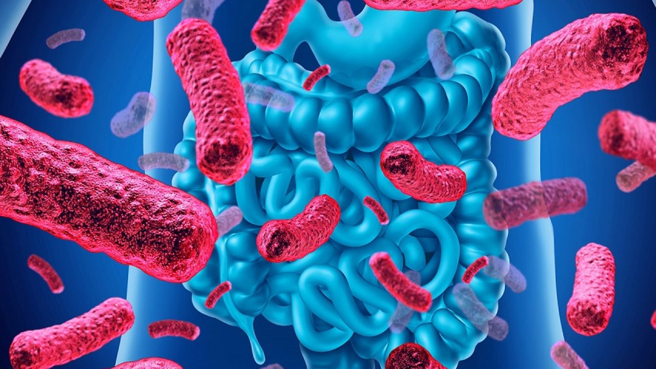 Microbiota: trapianto come strumento di terapia