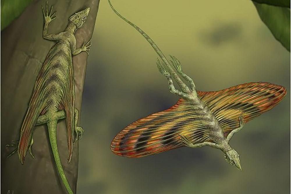 Rettili volanti che planavano tra le fronde degli alberi