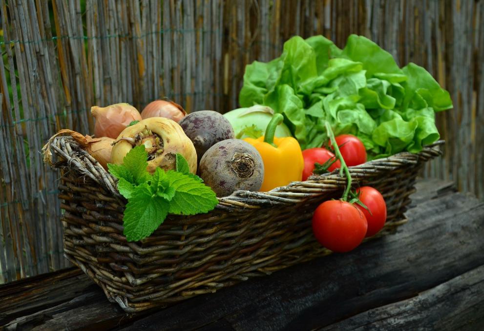 Pesticidi biologici: come accelerarne l’autorizzazione