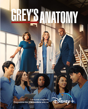 Grey's Anatomy 19