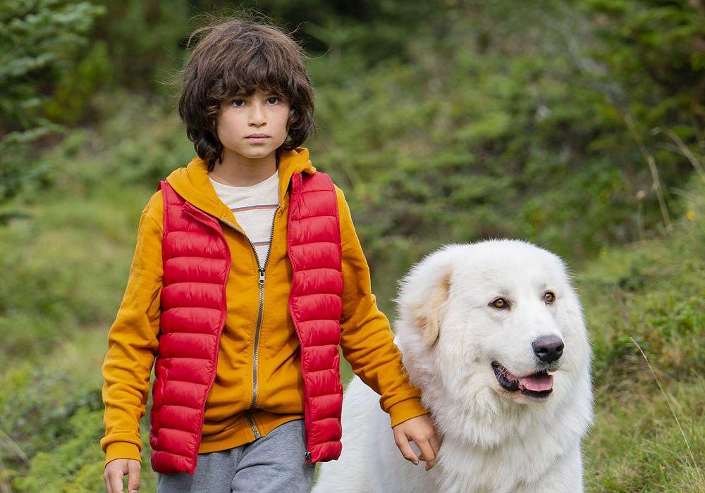 Belle & Sébastien: Next Generation, trailer della nuova versione live action