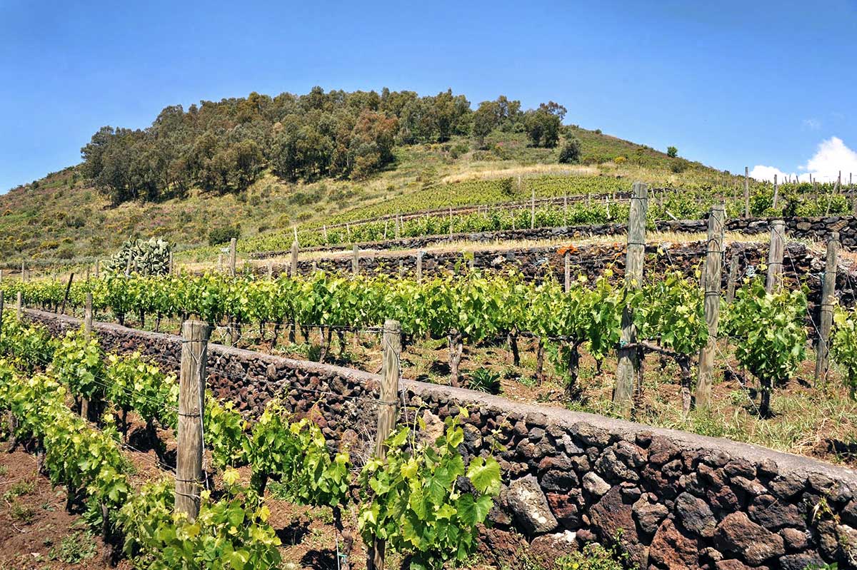 Cantina Benanti: Renzo Rosso acquista il 40%