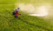 Pesticidi: una persona su tre presenta tracce nei capelli
