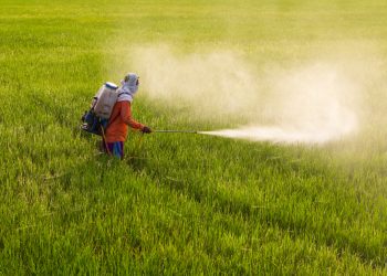 Pesticidi: una persona su tre presenta tracce nei capelli