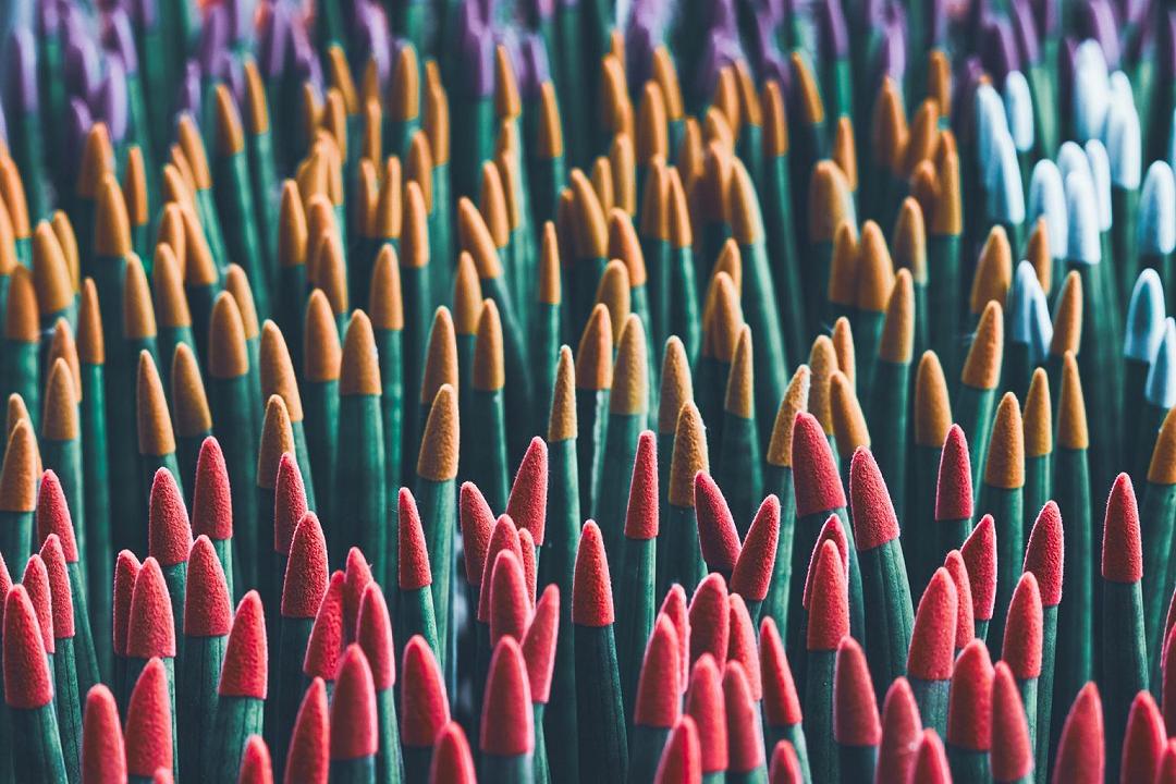 Sansevieria Cylindrica Velvet Touch: coltivarla è semplice