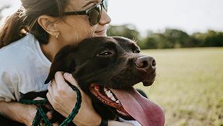 Cane e peluche: differenze in termini di emozioni