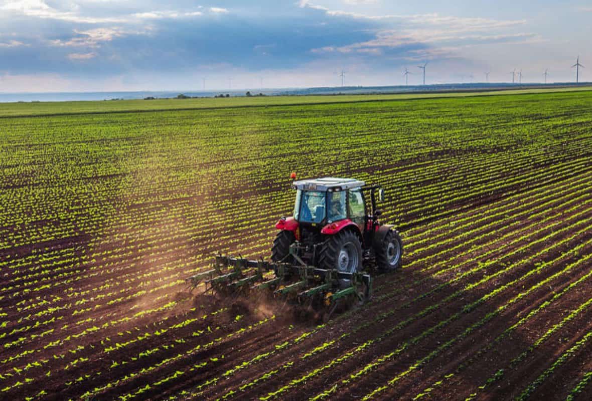 Droni: un aiuto per l’agricoltura biologica