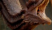 House of the Dragon, tutti i draghi che popolano Westeros