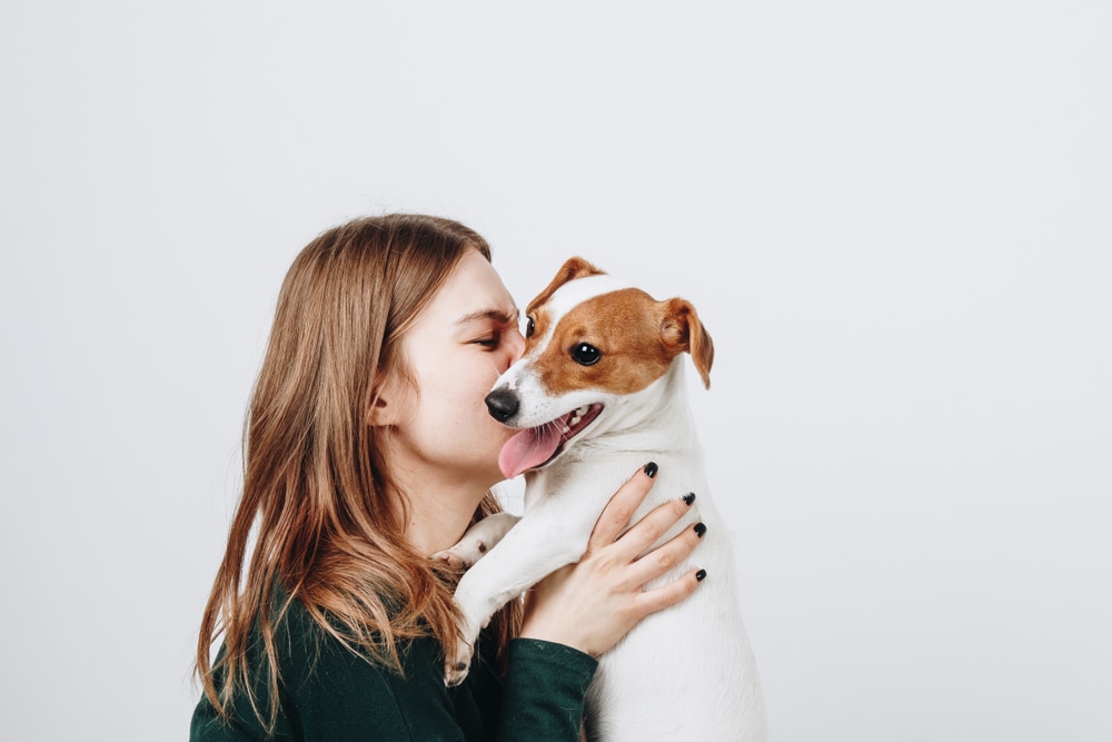 cane percepisce lo stress del padrone