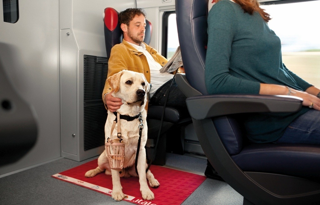 cane sul treno