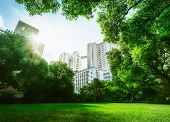 Fao: invita le metropoli a prendersi cura del verde urbano